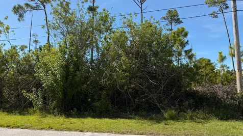Cadwallader Drive 16 Grand Bahama Freeport BS