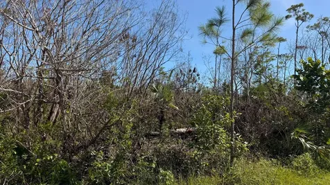 Cadwallader Drive 16 Grand Bahama Freeport BS