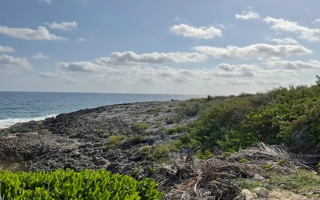 Hamilton's Waterfront Lot Long Island BS