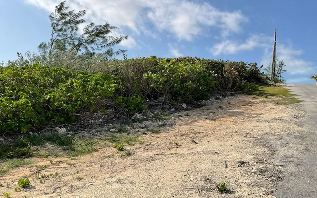 Hamilton's Waterfront Lot Long Island BS