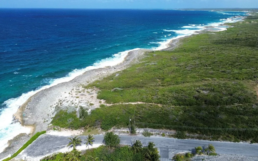 Hamilton's Waterfront Lot Long Island BS