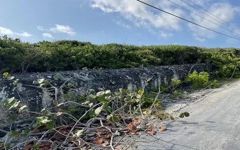 Hamilton's Waterfront Lot Long Island BS