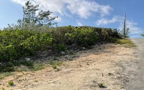 Hamilton's Waterfront Lot Long Island BS