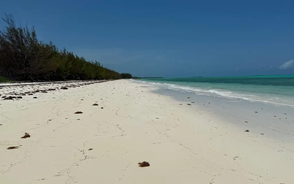 Kemps Bay Beachfront Andros BS