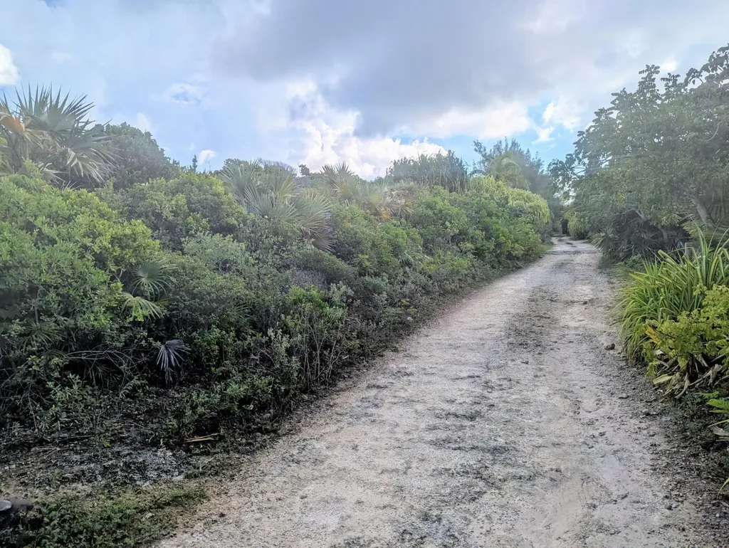 Little Harbour 5b Abaco BS