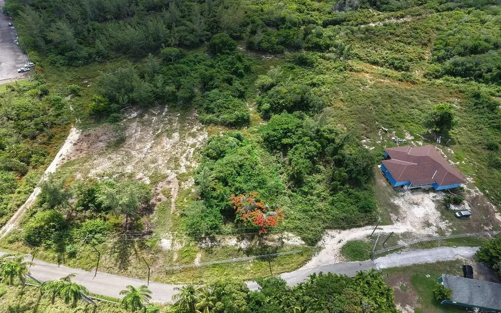 Ferguson Road Multi-family New Providence Paradise Island BS