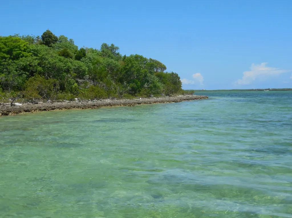 Near Casuarina Point Abaco BS