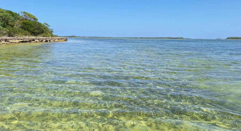 Near Casuarina Point Abaco BS