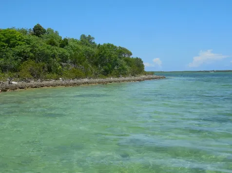 Near Casuarina Point Abaco BS