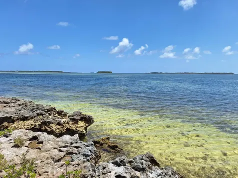 Near Casuarina Point Abaco BS