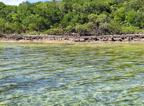 Near Casuarina Point Abaco BS