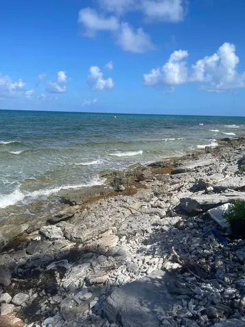 Driggs Hill 77a Andros BS