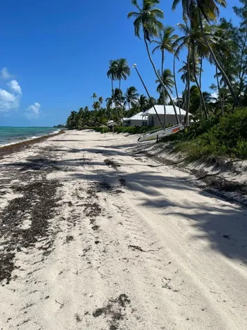 Driggs Hill 71a Andros BS