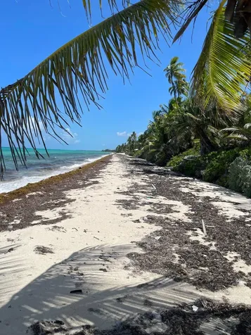 Driggs Hill 71a Andros BS