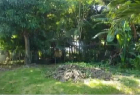 Faith Avenue 10 New Providence Paradise Island BS