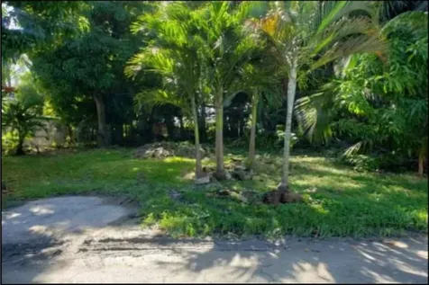 Faith Avenue 10 New Providence Paradise Island BS