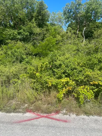 Driggs Hill B2 Andros BS