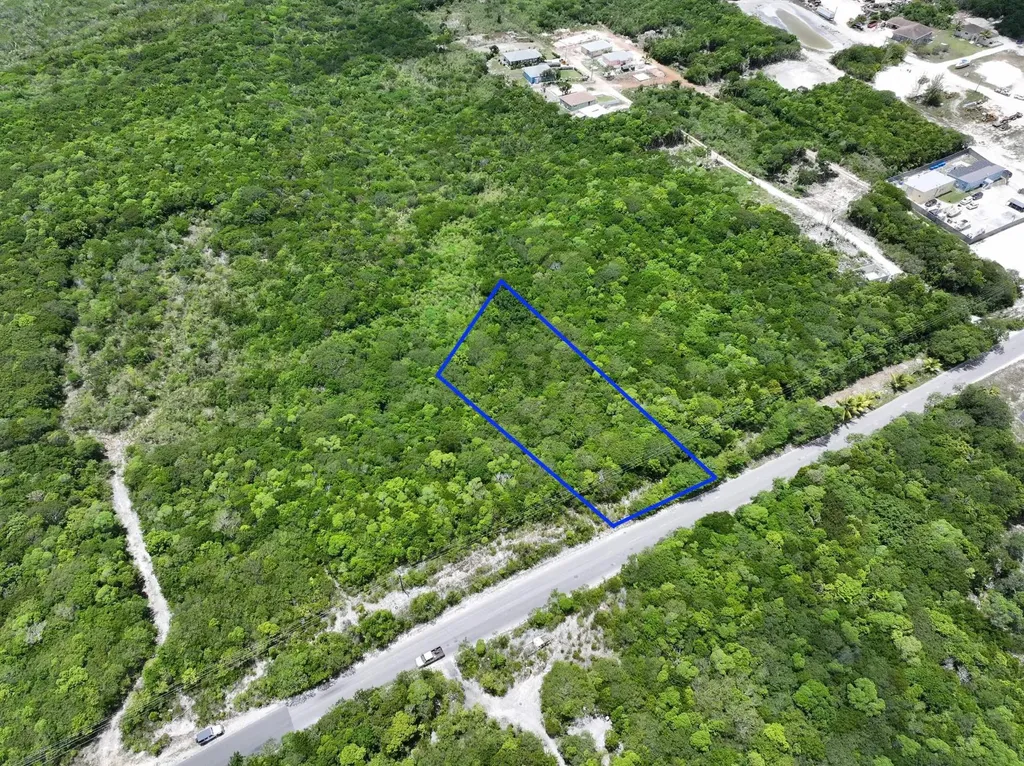 North Palmetto Point Eleuthera BS