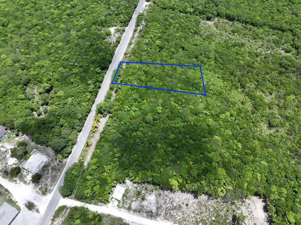 North Palmetto Point Eleuthera BS