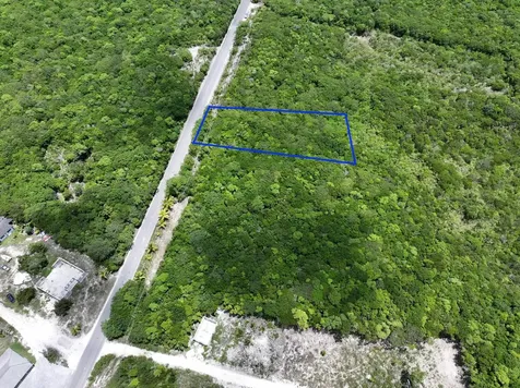 North Palmetto Point Eleuthera BS