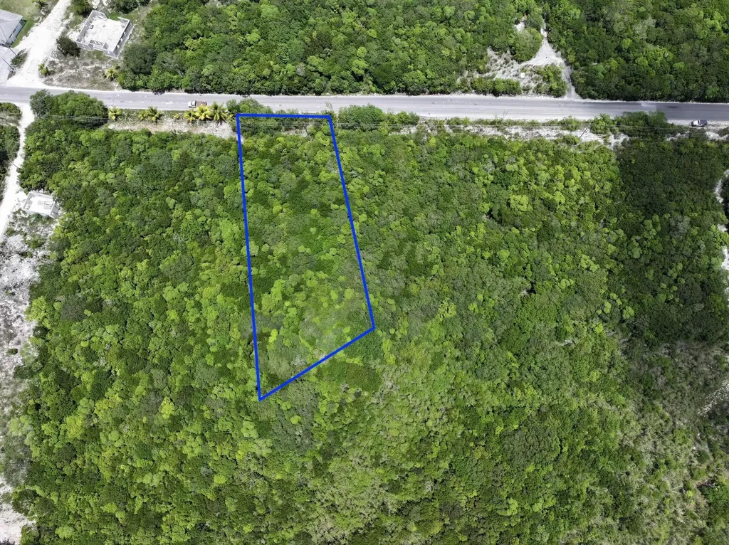 North Palmetto Point Eleuthera BS