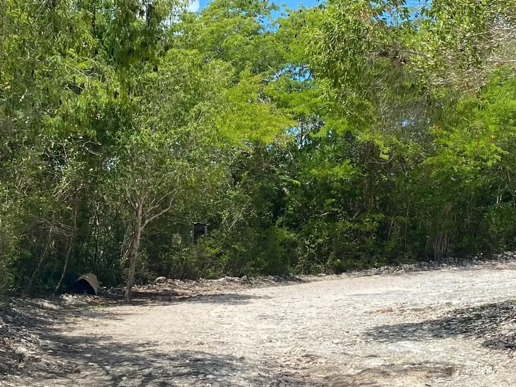 Lot 4985 Date Palm Road Exuma BS