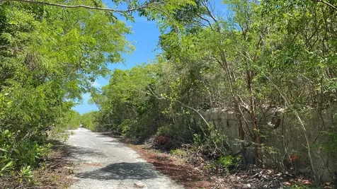 Lot 4985 Date Palm Road Exuma BS