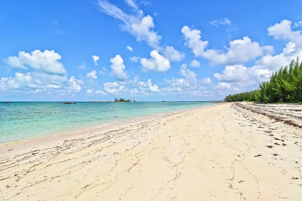 King Neptune Drive 232 Abaco BS