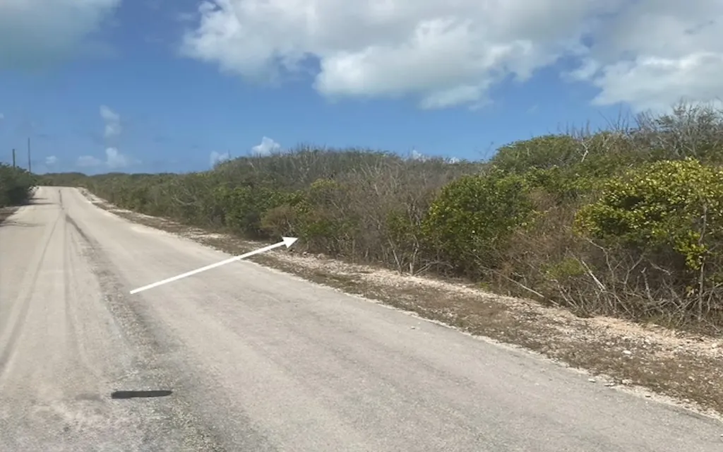 Scrub Hill Lot Long Island BS