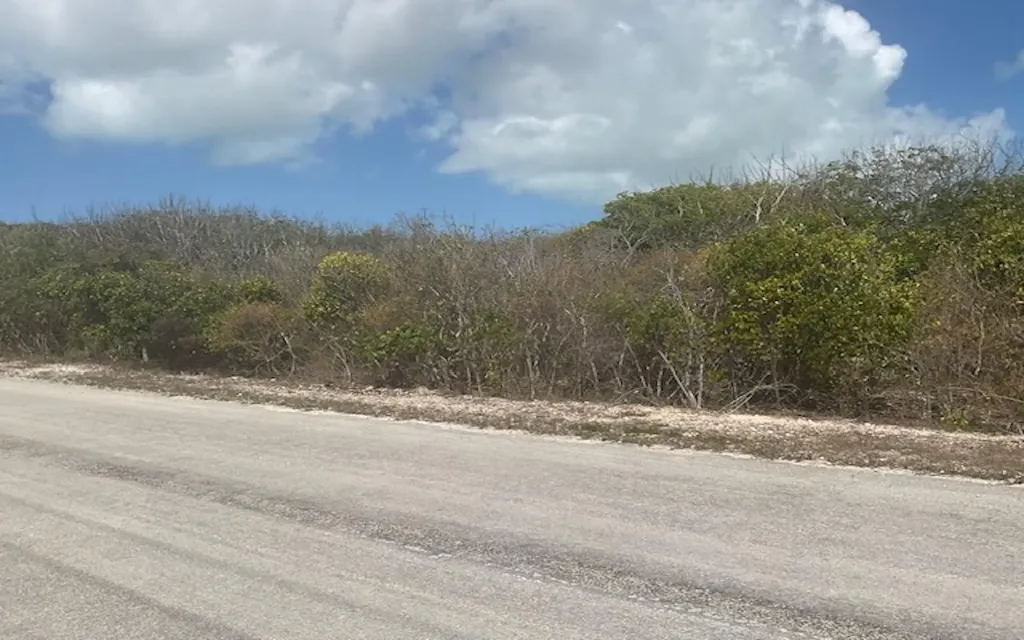 Scrub Hill Lot Long Island BS