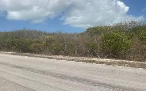 Scrub Hill Lot Long Island BS