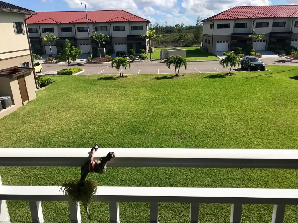 Venetian West Rental New Providence Paradise Island BS