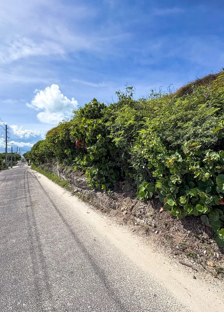 Centerline Rd, Elbow Cay Abaco BS