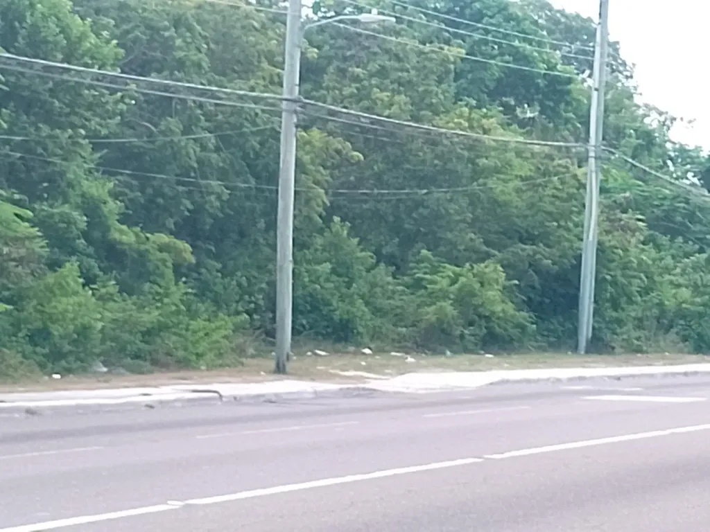 Prince Charles Drive New Providence Paradise Island BS