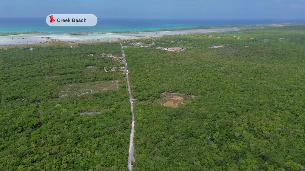 Eleuthera Acreage 87 Ac Eleuthera BS