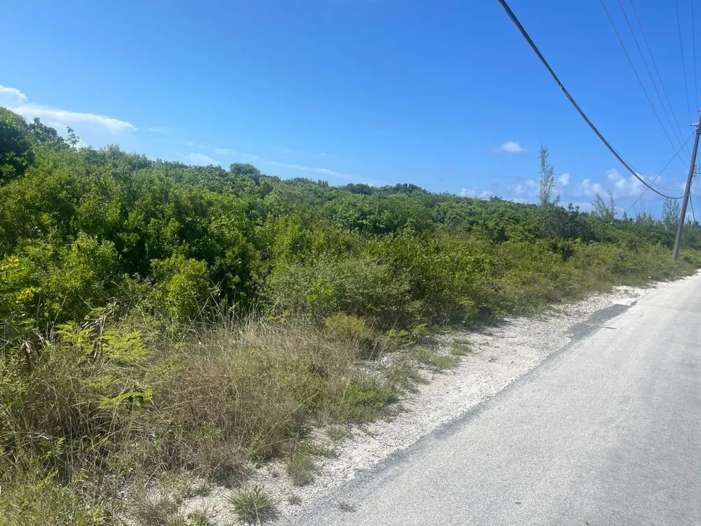 Driggs Hill A5 Andros BS