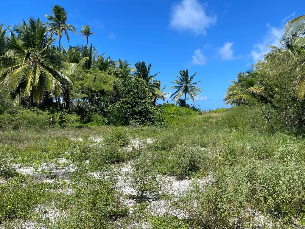 Driggs Hill 77f Andros BS