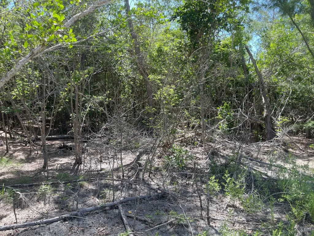 Driggs Hill 77f Andros BS