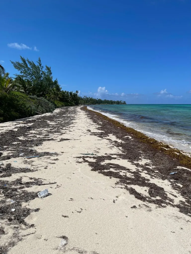 Driggs Hill 77f Andros BS