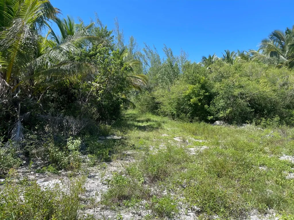 Driggs Hill A6 Andros BS