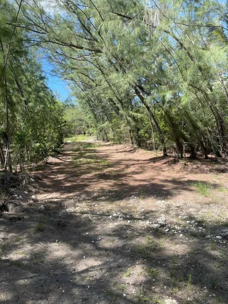 Driggs Hill A6 Andros BS