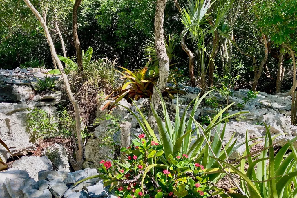 Two X Twice Eleuthera BS