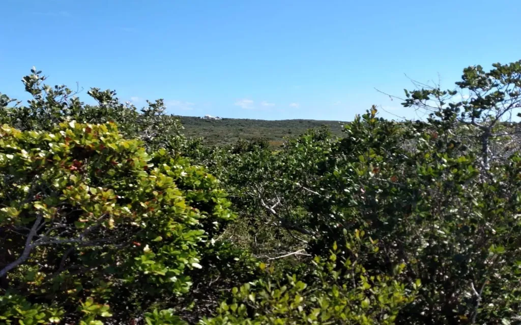 Columbus Landing 4 Lot 19 San Salvador BS