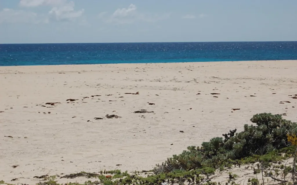 Columbus Landing 4 Lot 19 San Salvador BS