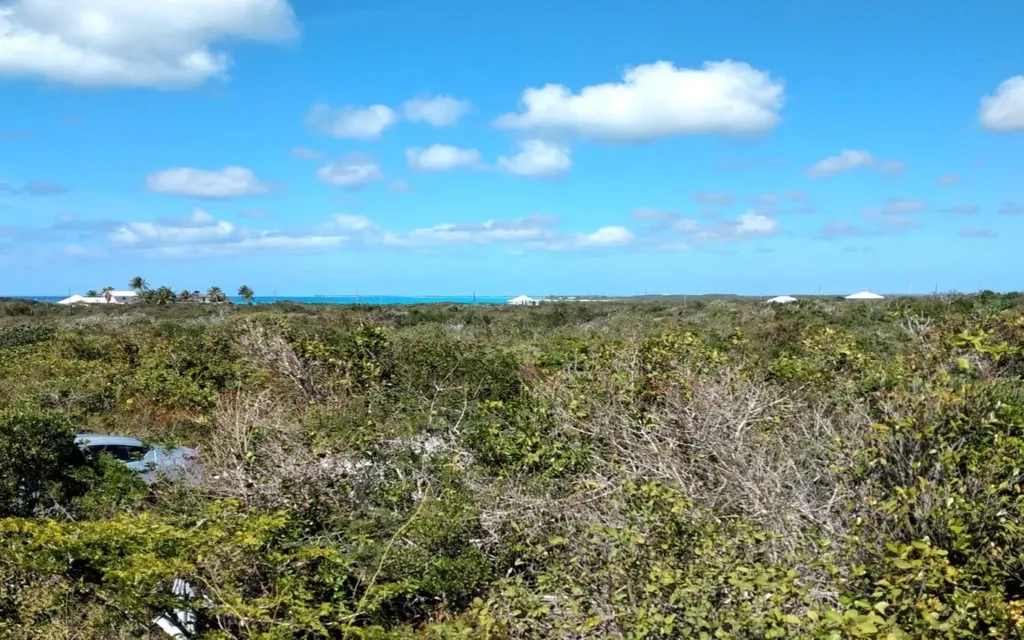 Columbus Landing 4 Lot 19 San Salvador BS