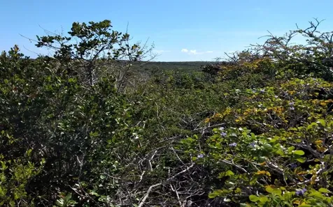 Columbus Landing 4 Lot 19 San Salvador BS