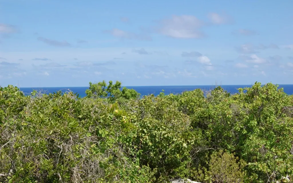 Columbus Landing 4 Lot 18 San Salvador BS