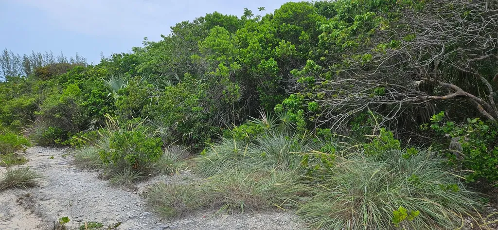 Whale Point Estates Eleuthera BS