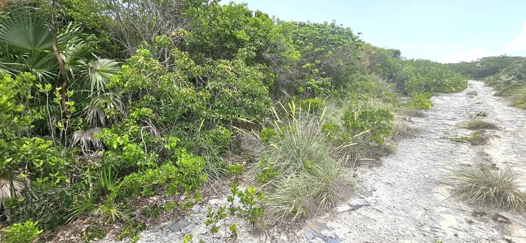 Whale Point Estates Eleuthera BS