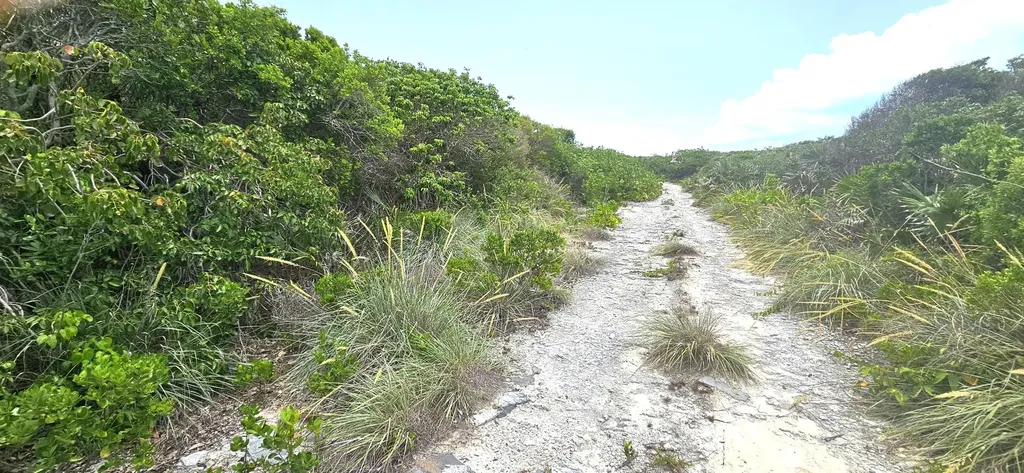 Whale Point Estates Eleuthera BS